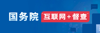 国务院”互联网+督察“