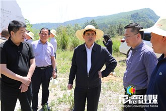 市领导赴桃源县督导脱贫攻坚工作：发动群众全面参与脱贫攻坚 用产业带动群众致富奔小康