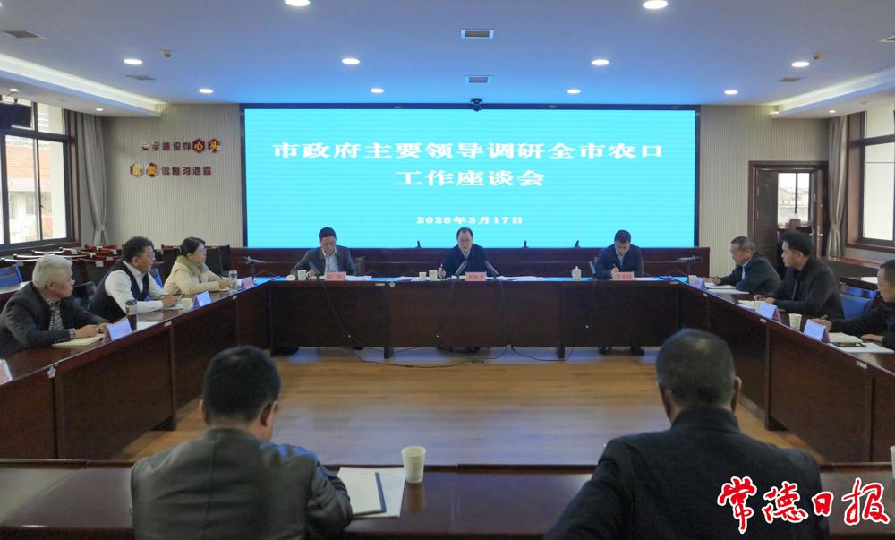 座谈会现场