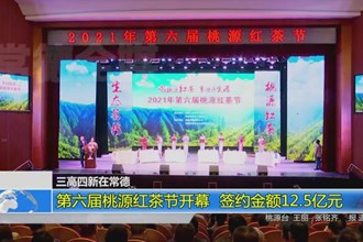 第六届桃源红茶节开幕 签约金额12.5亿元
