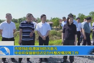 市领导赴临澧督导防汛备汛 中央环保督察信访交办件整改情况等工作