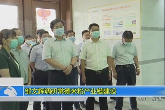 邹文辉调研常德米粉产业链建设