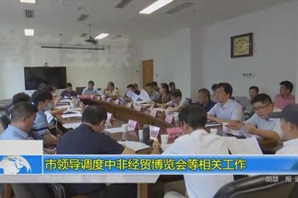 市领导调度中非经贸博览会等相关工作