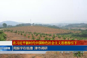 周振宇在临澧 津市调研